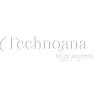 Technoana